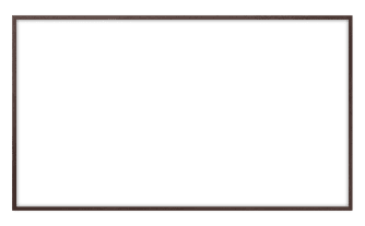 Alternative Text