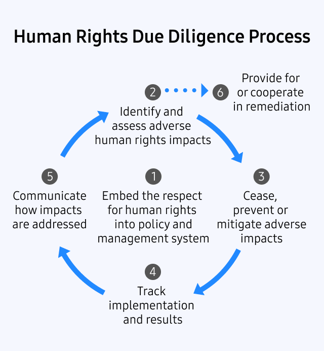 1. Embed the respect for human rights into policy and management system 2. Identify and assess adverse human rights impacts 3. Cease, prevent or mitigate adverse impacts 4. Track implementation and results 5. Communicate how impacts are addressed 6. Provide for or cooperate in remediation