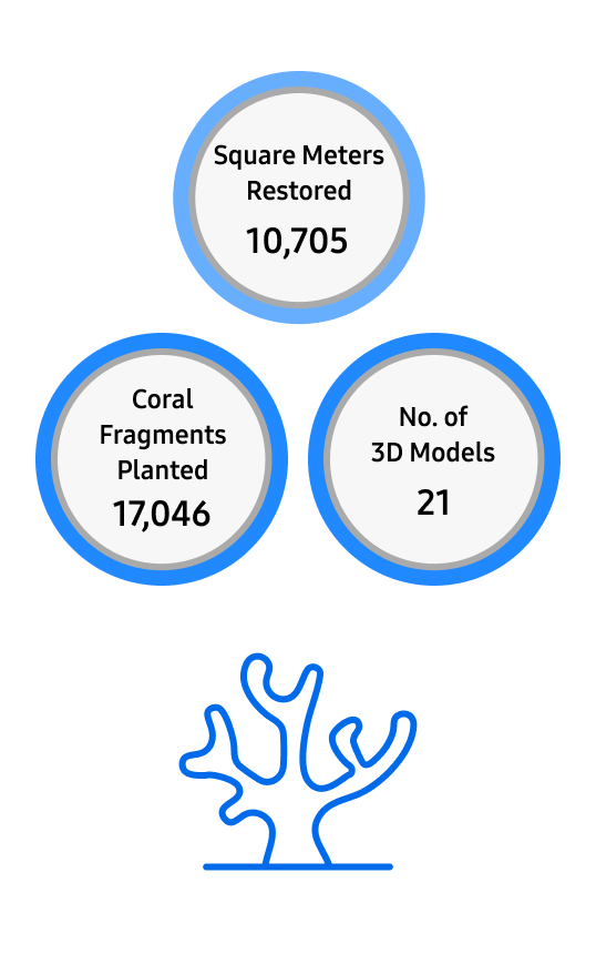 Square meters restored 10,705 / Coral fragments planted 11,046 / No. of 3D Models 21