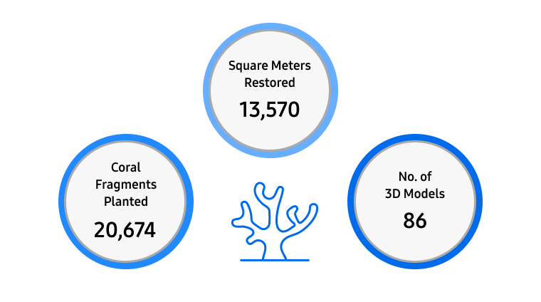 Square meters restored 13,570 / Coral fragments planted 20,674 / No. of 3D Models 86