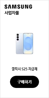 갤럭시 S25 자급제
