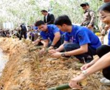 Participants work along a streambank, leveling soil as part of restoration activities.