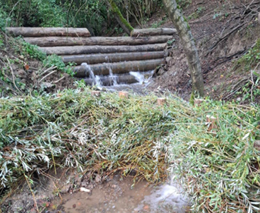 Restored forest waterway with water flowing through stepped wooden structures.