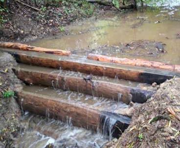 Water flows through a channel fitted with wooden structures as part of a restoration project.