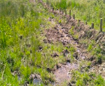 Restored waterway area with aquatic plants growing along the channel.