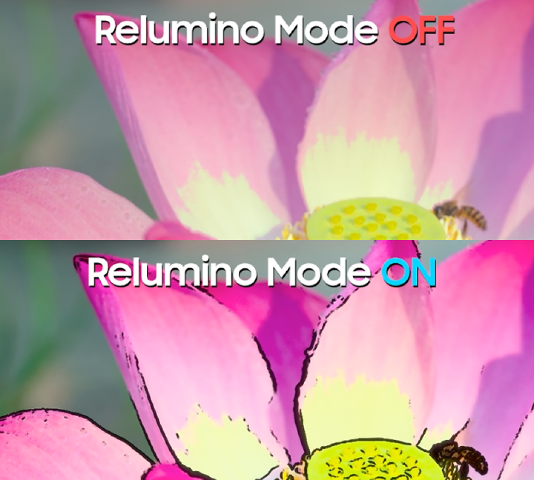 Relumino Mode Off, Relumino Mode On. 릴루미노 모드가 적용된 꽃 이미지와 릴루미노 모드가 적용되지 않은 꽃 이미지가 대조적으로 보이는 2개의 분할된 화면