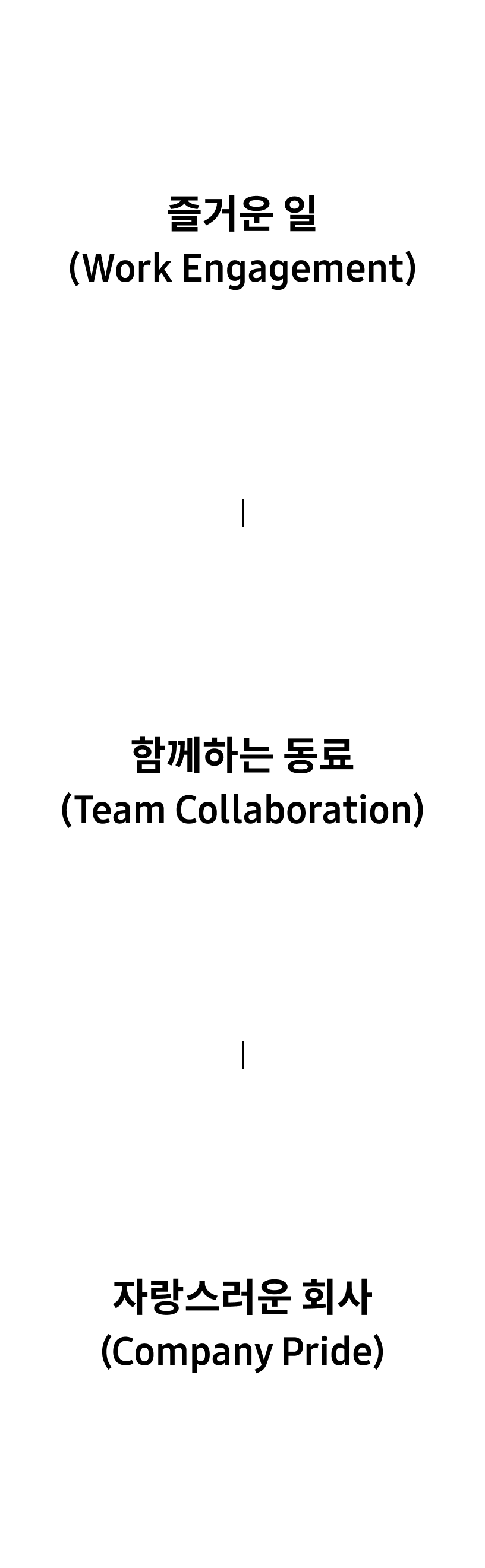 즐거운 일(Work Engagement), 함께하는 동료(Team Collaboration), 자랑스러운 회사(Company Pride)