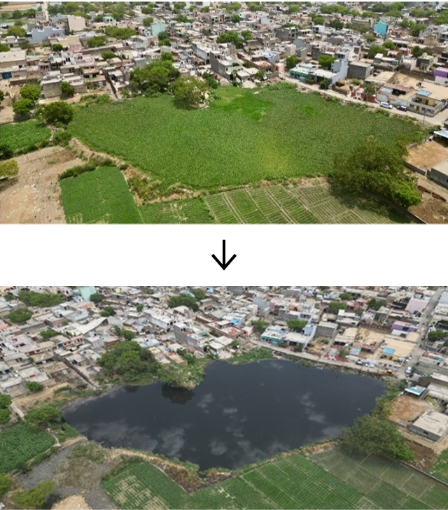 Aerial views of a reservoir near New Delhi, India, before and after restoration. The left shows a dry area covered with vegetation, while the right shows the restored reservoir, cleared of vegetation and waste, now filled with water.