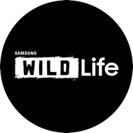 Samsung Wild Life 1050