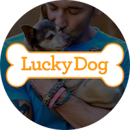 Lucky Dog 1126
